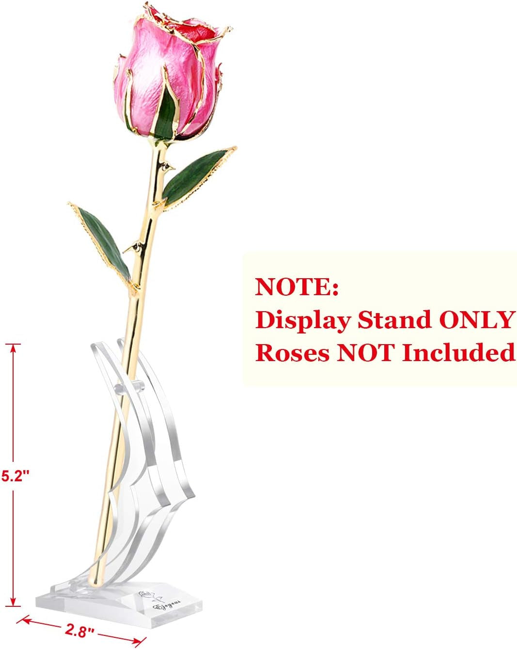 Gold Rose Display Stand, Acrylic Rose Holder for 24K Gold Dipped Rose, Plastic Support Base for Single Stem Plated Rose Flower, Rose Stand Only, Clear